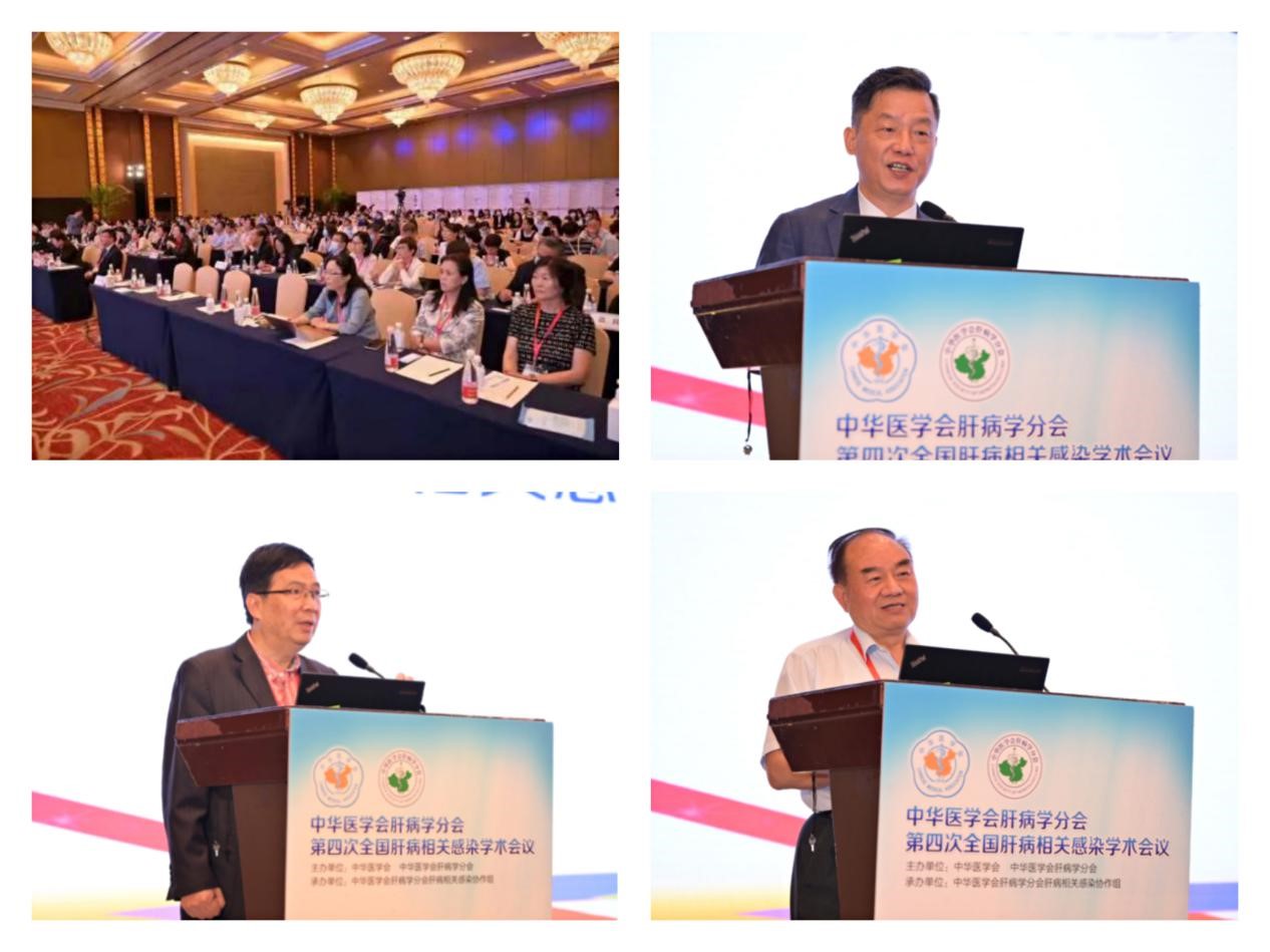 聚焦学术前沿，共迎肝病防治新征程！币博286股份以学术助力中医药发展