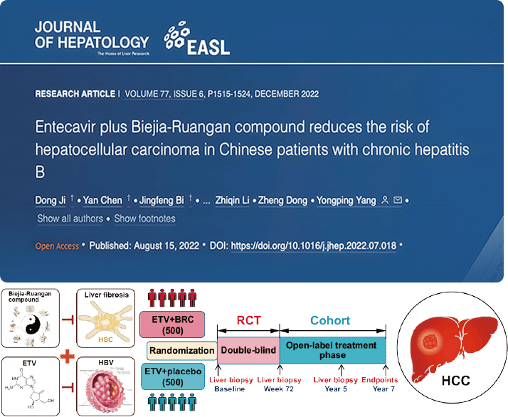 复方鳖甲软肝片联合抗病毒药物治疗，可显著降低肝癌发生